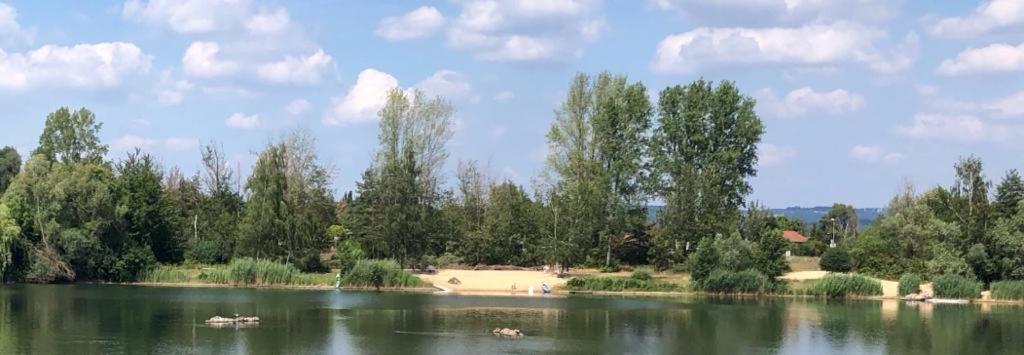 Wohnen-Auf-Zeit-Am-See Villa Großostheim Esterno foto