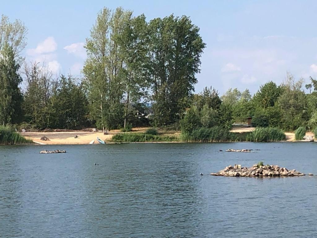 Wohnen-Auf-Zeit-Am-See Villa Großostheim Esterno foto